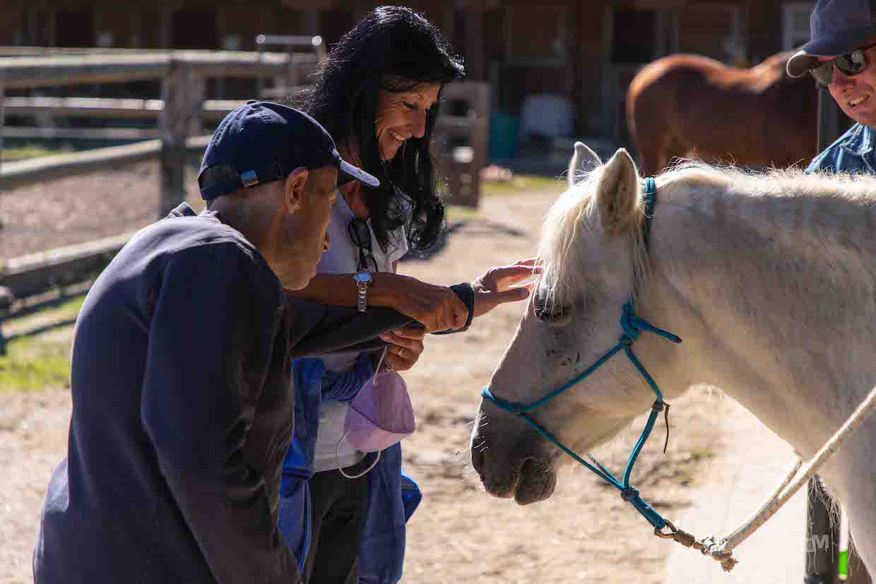 Immagine per Accarezzare gli animali nel maneggio del Preval, terapia per la disabilità 