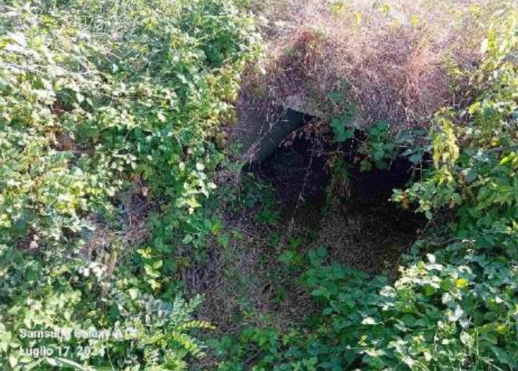 Immagine per Corsi d'acqua in sicurezza a Mariano, pulizia dei canali per 50mila euro