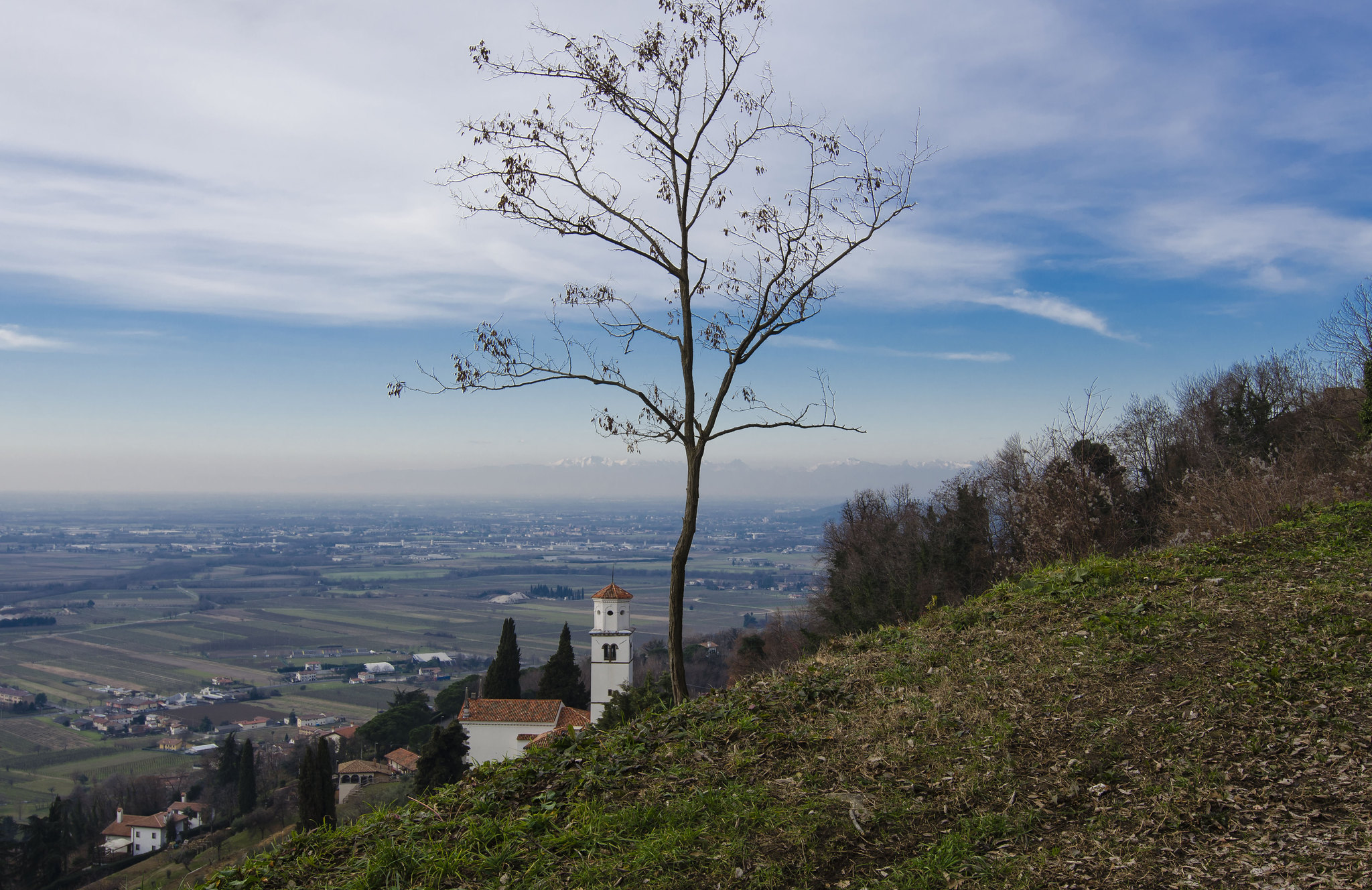 Immagine per Gli Amis da Mont Quarine sognano la Viarte, nuove mappe su Cormons