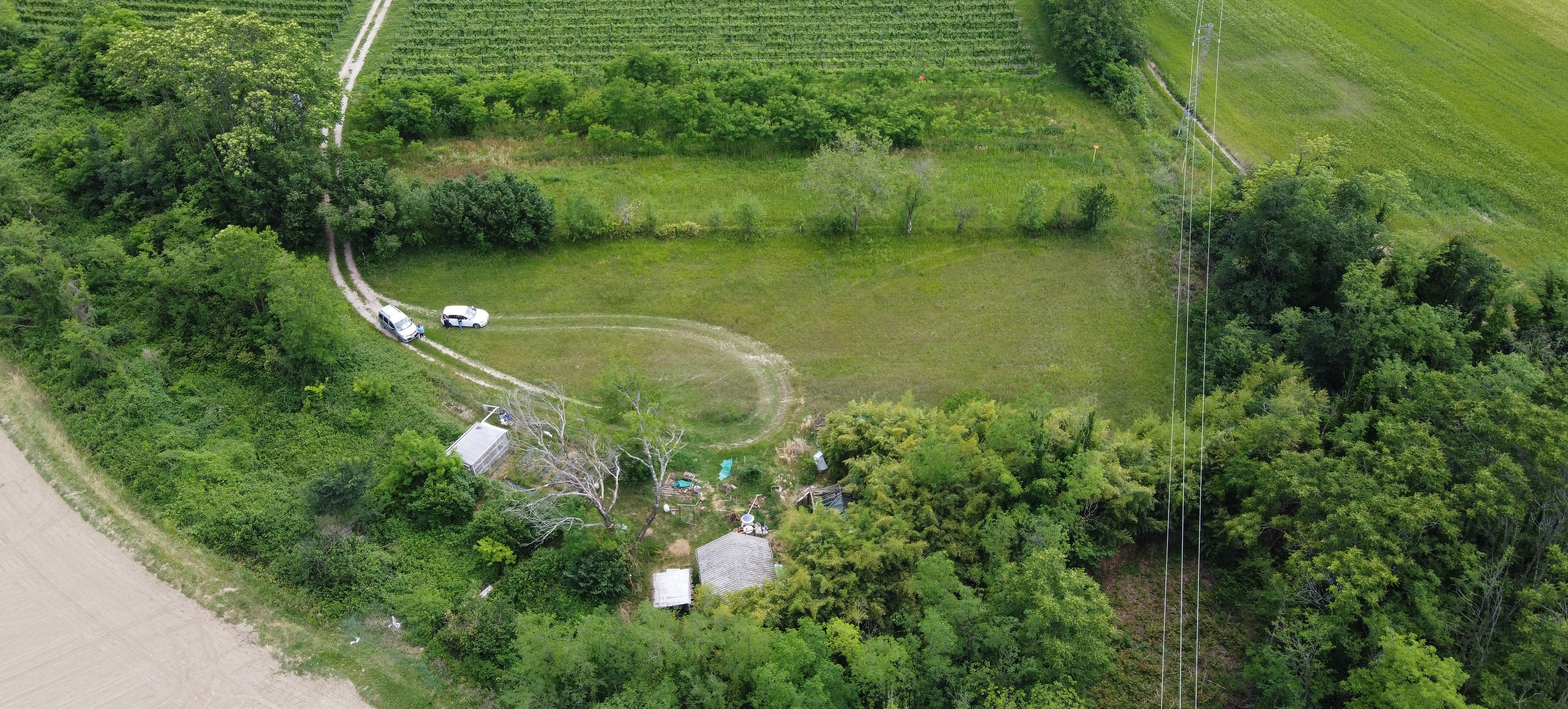 Immagine per San Pier d'Isonzo, aperto il bando per la concessione degli Orti Sociali, saranno affidati per tre anni ciascuno