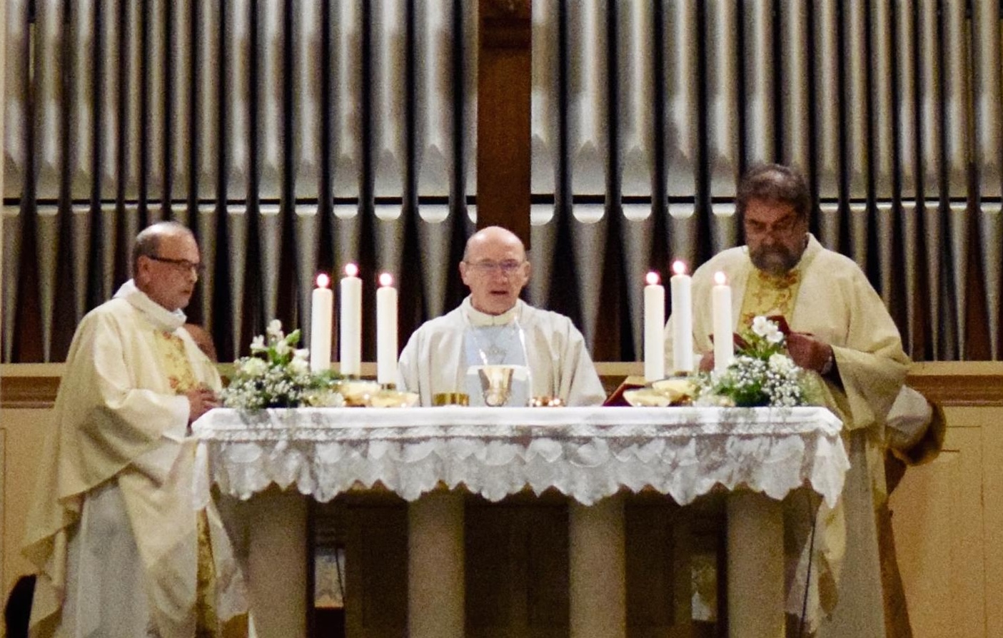 Immagine per Monfalcone celebra la Madonna della Salute, patrona della città 