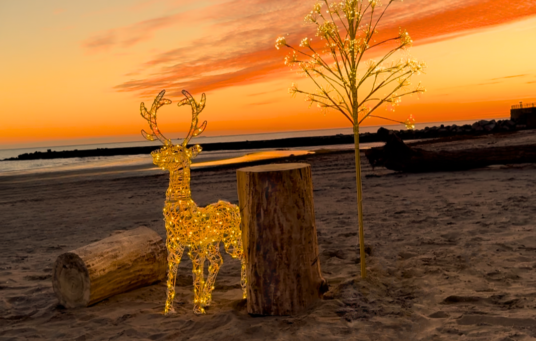 Immagine per A Grado la spiaggia imperiale apre anche d'inverno: il bosco in riva al mare