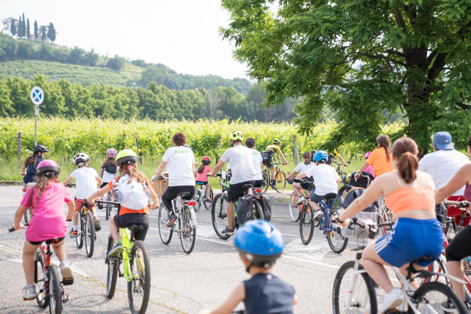 Immagine per Bambini e genitori in sella tra le vigne, Feltre in bici anima Cormons