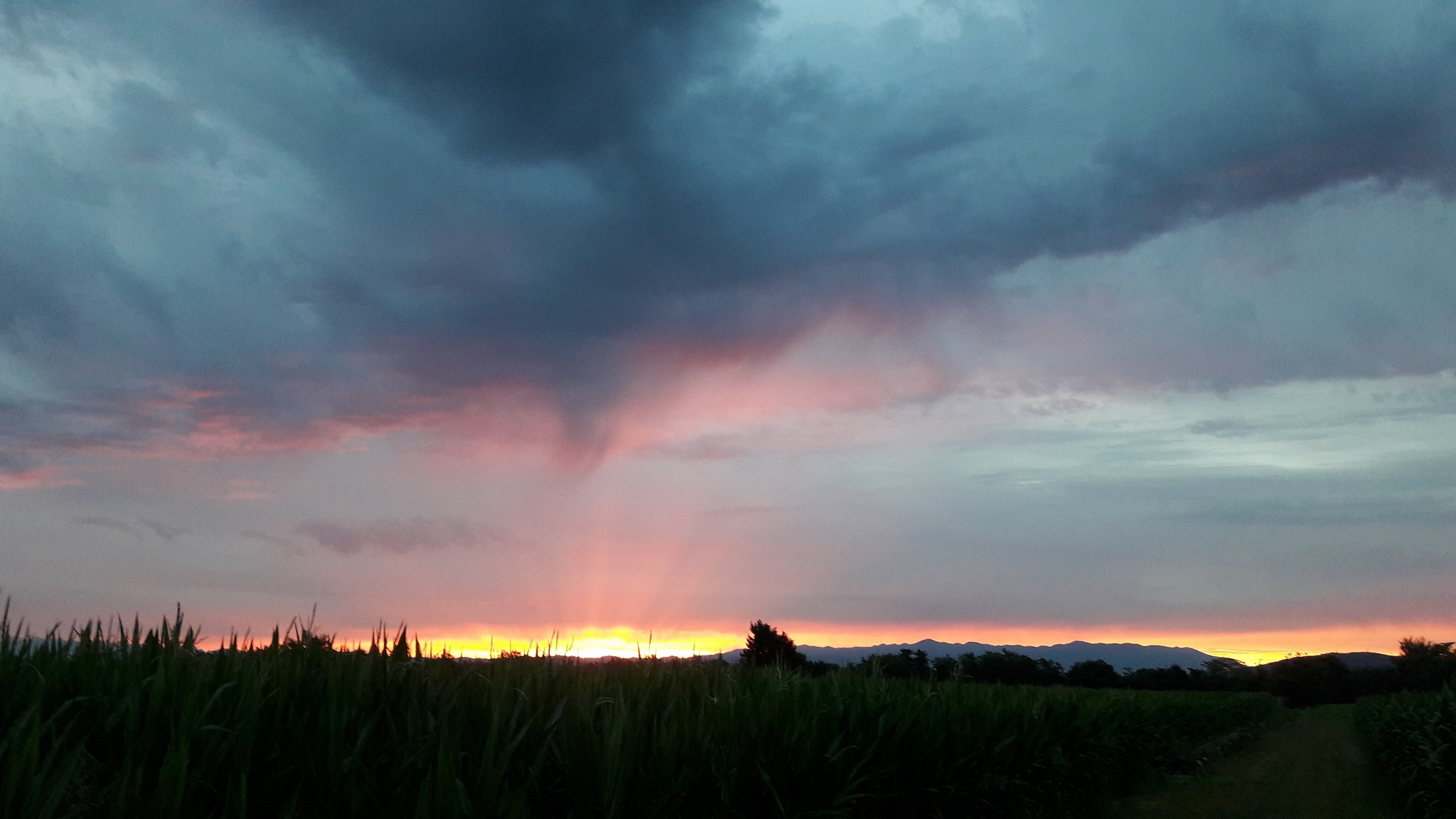 Meteo variabile con nuvolosità sparsa sul Goriziano, clima freddo ma umido