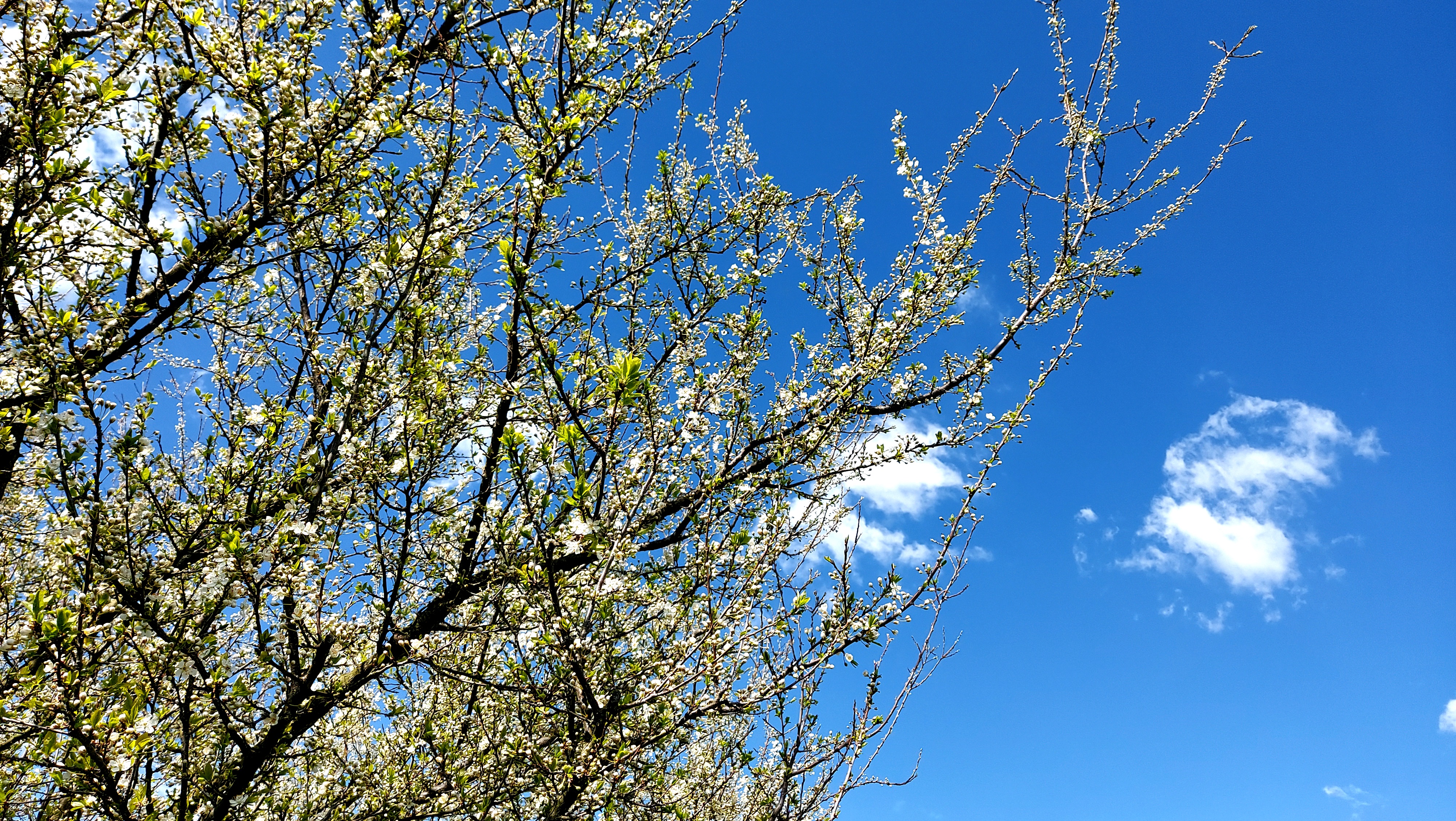 Permane la stabilità sul Goriziano, continua un clima ben freddo con diffuse gelate notturne