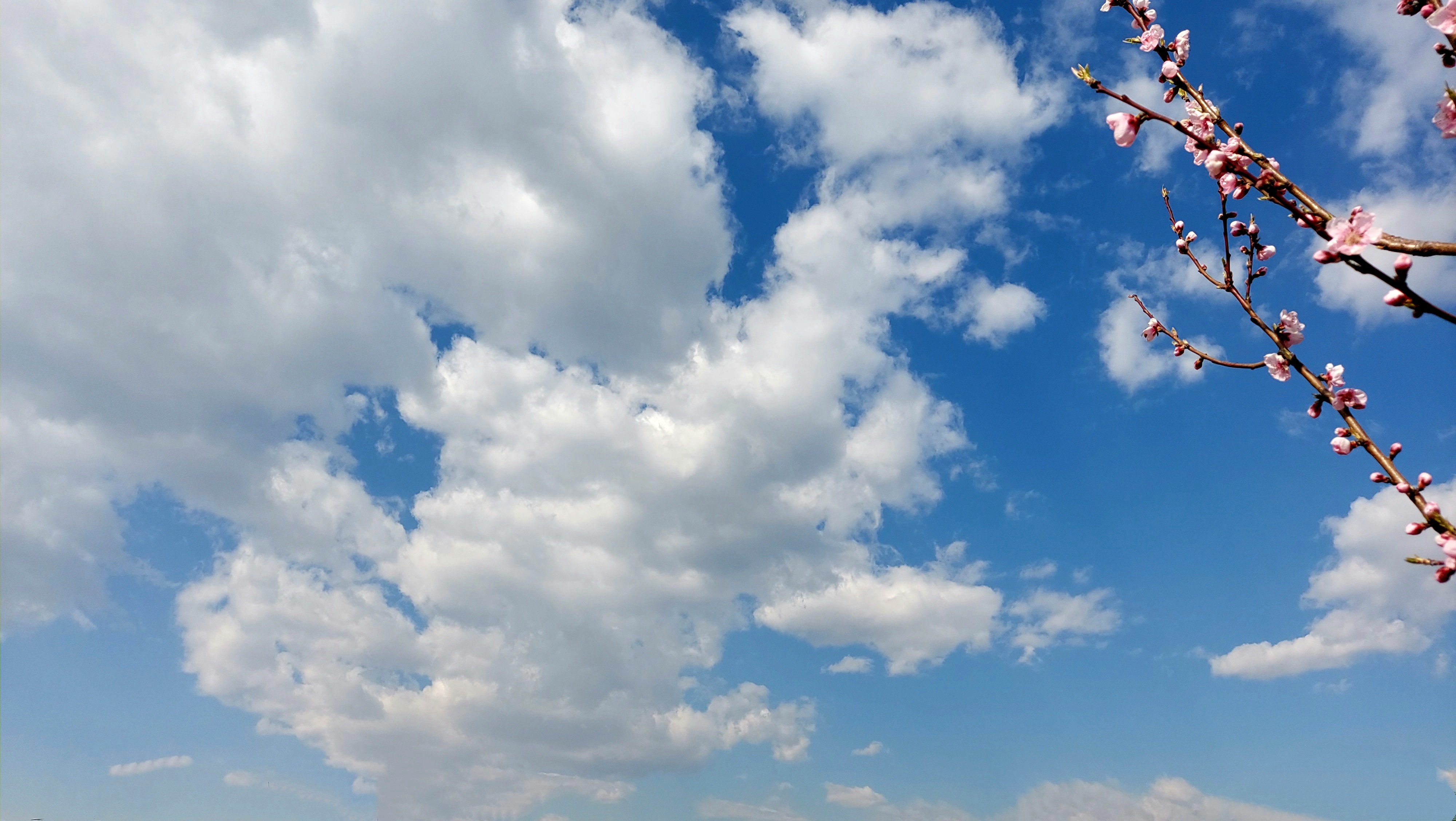 Meteo stabile sul Goriziano, lieve ripresa termica ma ancora gelate notturne in diverse zone