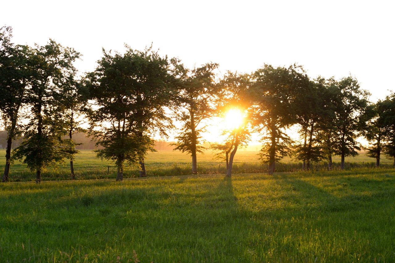 Fine settimana di sole e caldo sul Friuli Venezia Giulia, lunedì soffia Bora