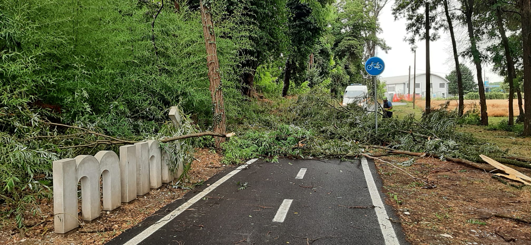 Maltempo, forti raffiche e alberi caduti: danni da Versa a Turriaco