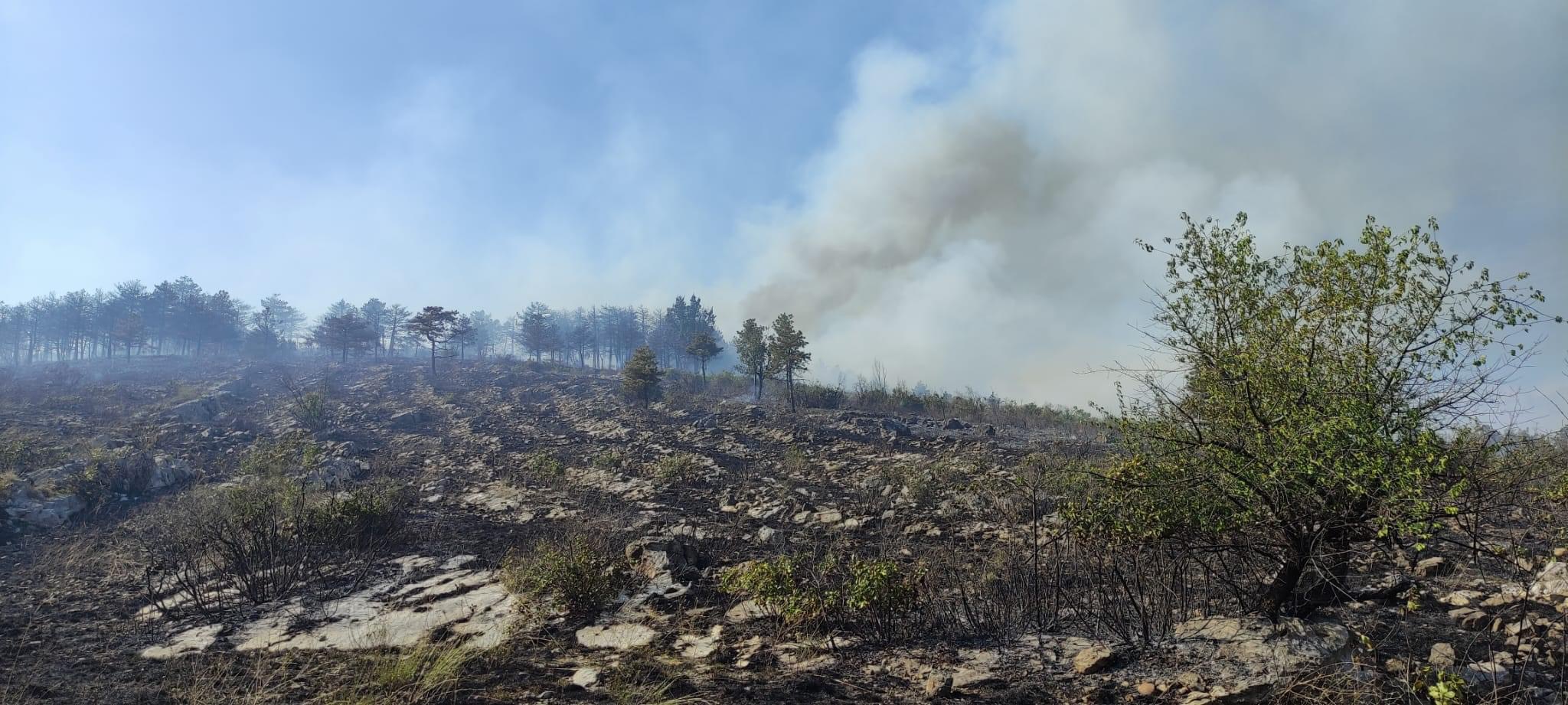 Incendio sotto controllo sul Carso a Monfalcone, ora lunga notte di bonifica