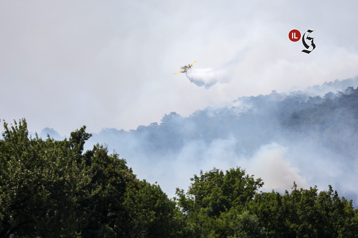 Immagine per Incendi sul Carso, l'Unione slovena spinge sul rafforzare la prevenzione in Fvg