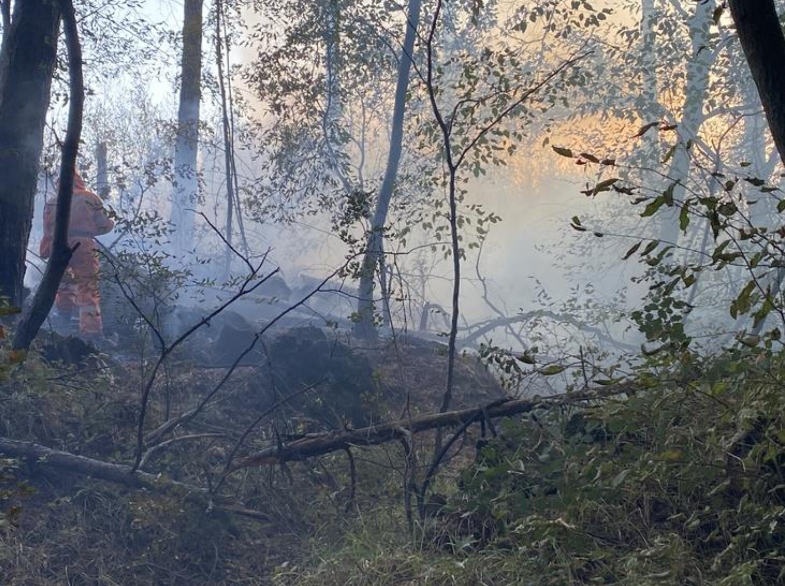 Fiamme riaccese tra i sentieri del Carso, continua la bonifica a Monfalcone