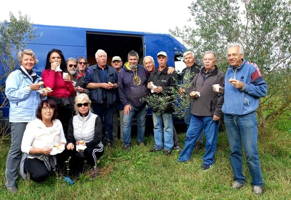 Ritorna la raccolta di olive a Ronchi, tutti insieme al gruppo Uliu Bisiac