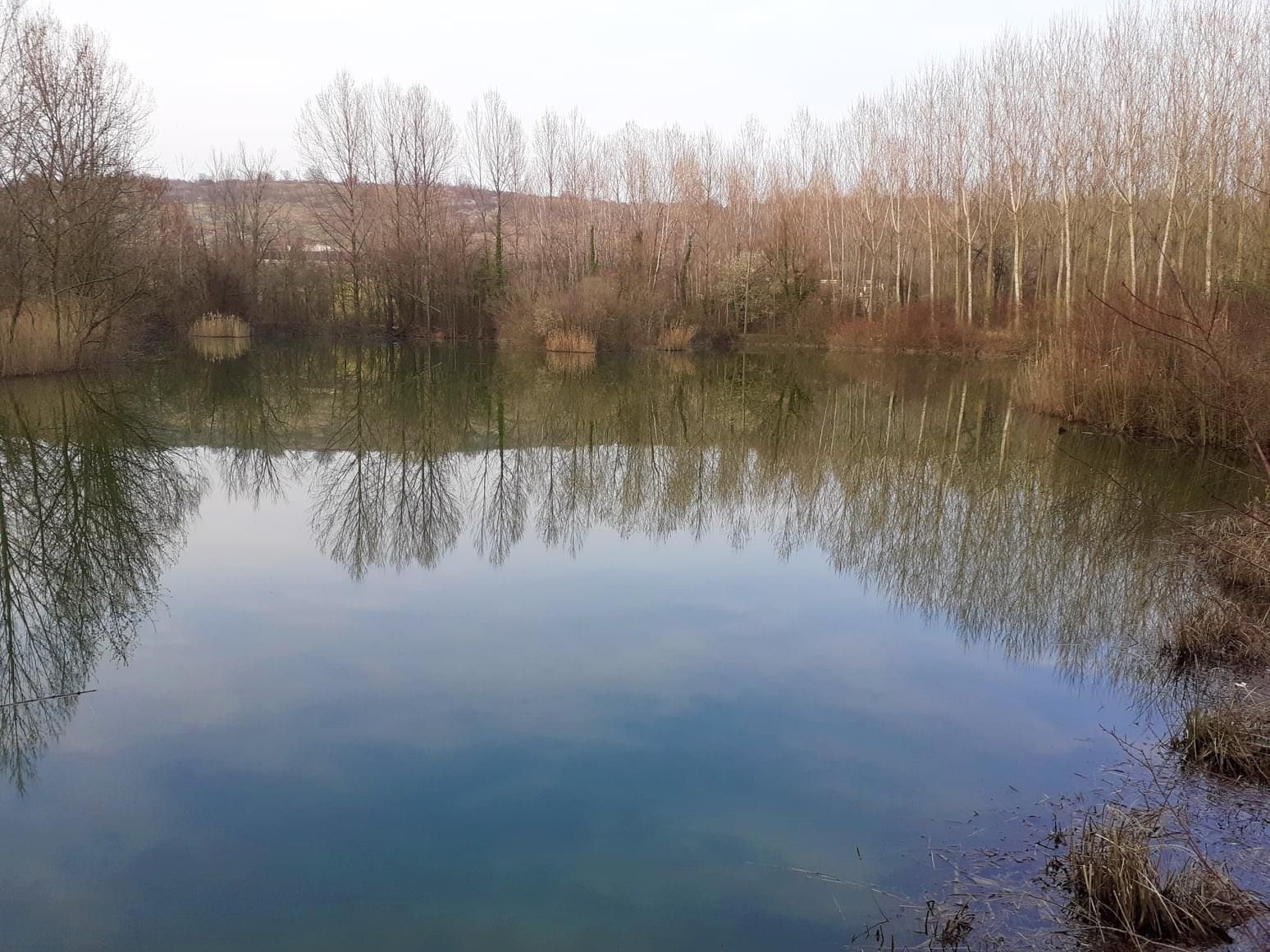 Immagine per La Goletta dei Laghi di Legambiente approda a Ronchi, «Mucille minacciate» 