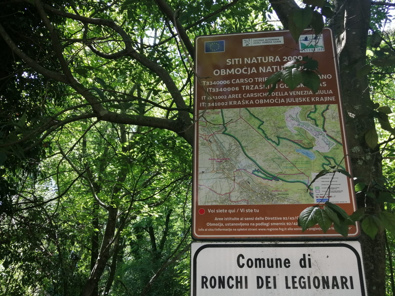 Immagine per Laghi Mucille minacciati e cipressi sul Vallone, Moretti incalza la Regione