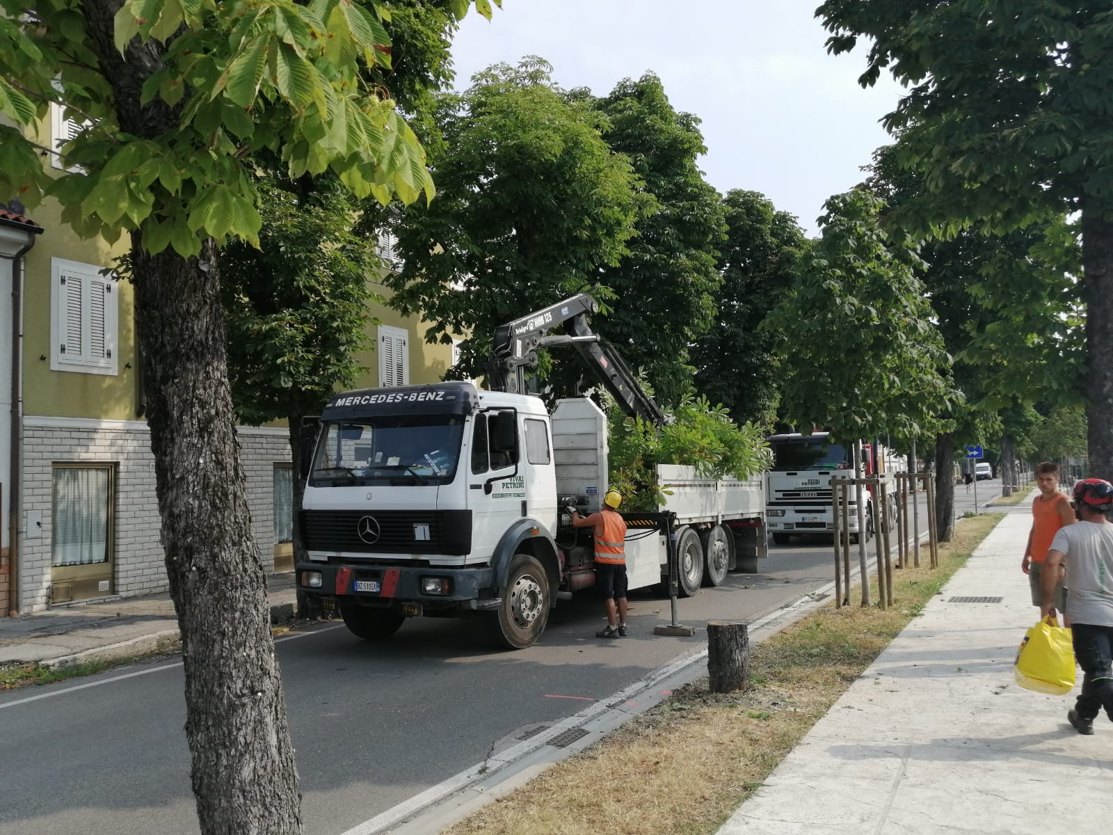 Ronchi, parte il taglio di 29 alberi a rischio crollo: 41 sono malati