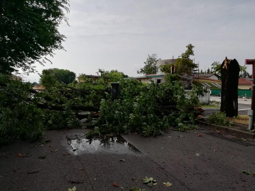 Immagine per Ancora maltempo nella notte, sessanta interventi nel Monfalconese