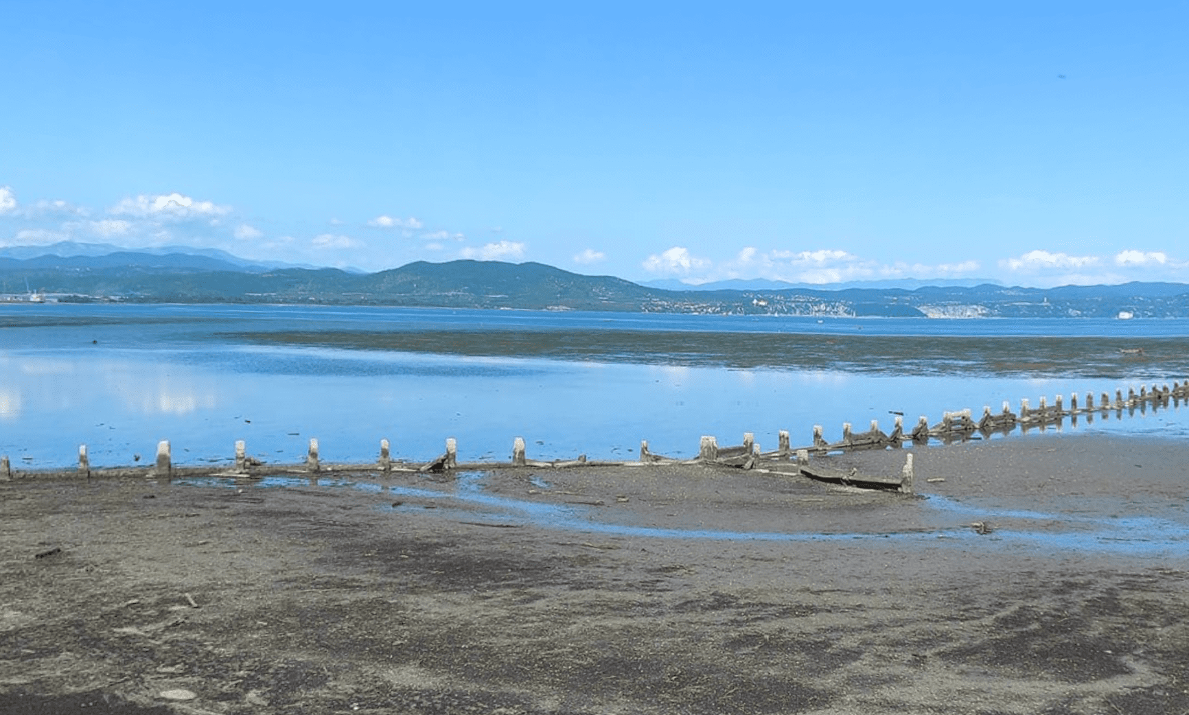 Immagine per Monfalcone tutela le piante nel golfo di Panzano, progetto da 250mila euro