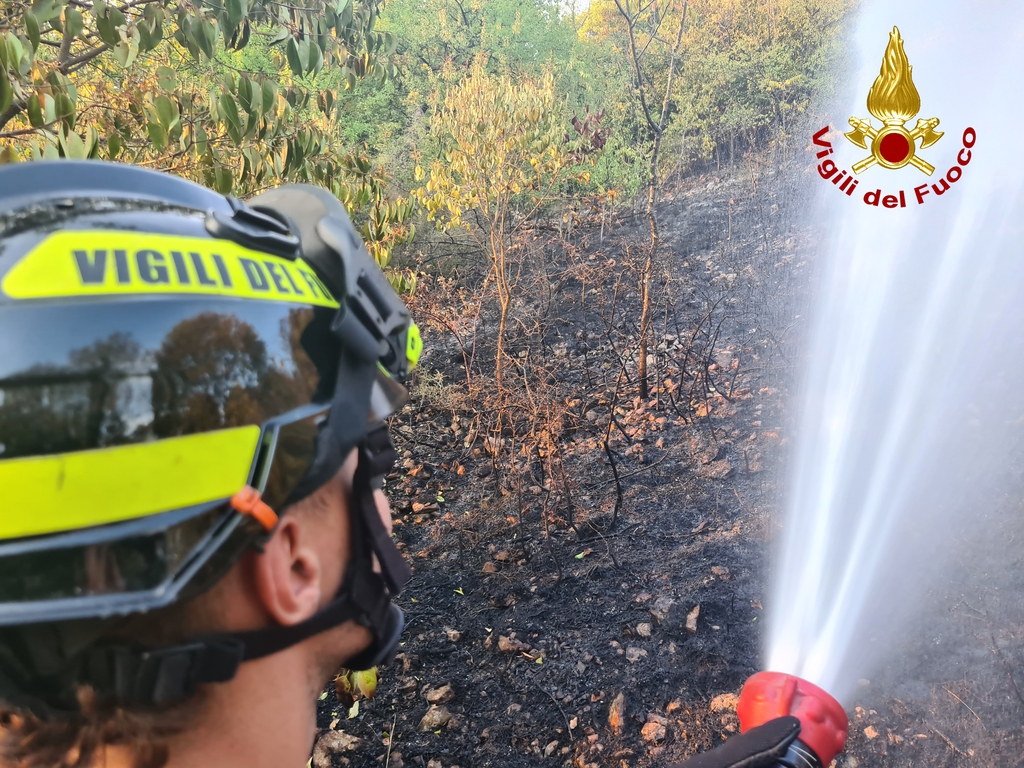 Immagine per Spento l'incendio sul Carso a Redipuglia, notte di controlli prima della bonifica