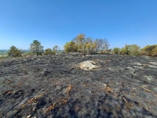 Bonificato l'incendio di Redipuglia: bruciati più di due ettari di bosco