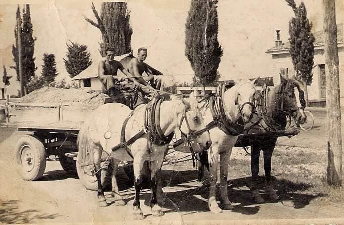 Immagine per Le storie dei Caradori, il racconto lungo l'Isonzo di Emanuela Puntin a Turriaco