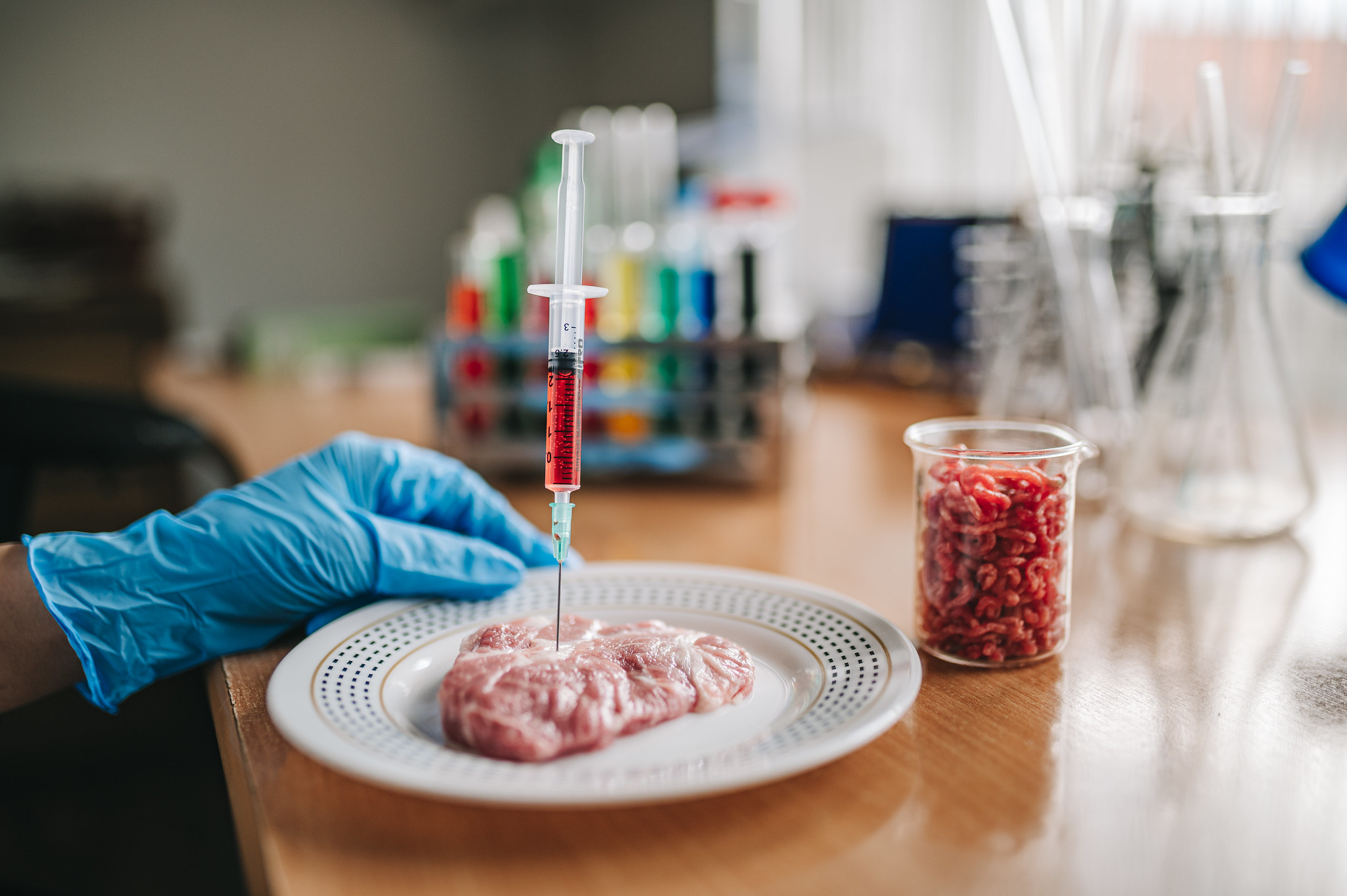 Immagine per Carne prodotta in laboratorio, l'europarlamentare Cisint interroga la Commissione