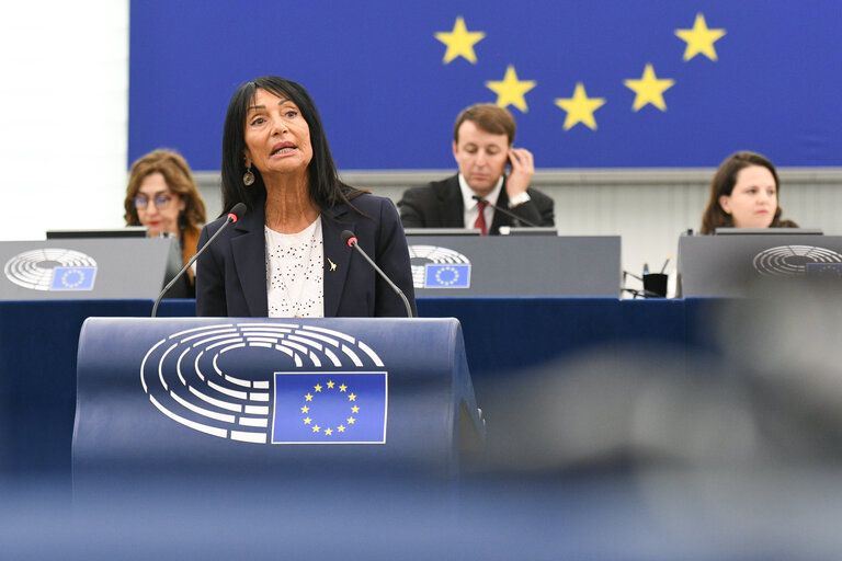 Immagine per Sicurezza delle donne in UE, Cisint firma la risoluzione del Parlamento europeo