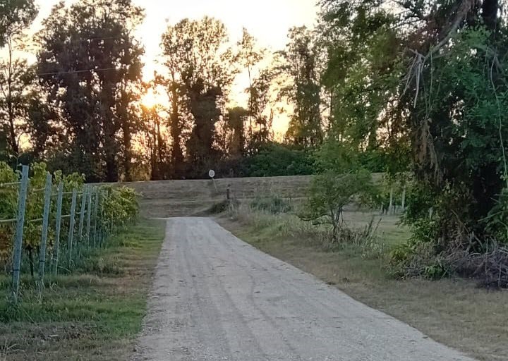 Immagine per Mar e Tiaris completa la rete ciclabile, in bici fino al Parco dell’Isonzo a Turriaco