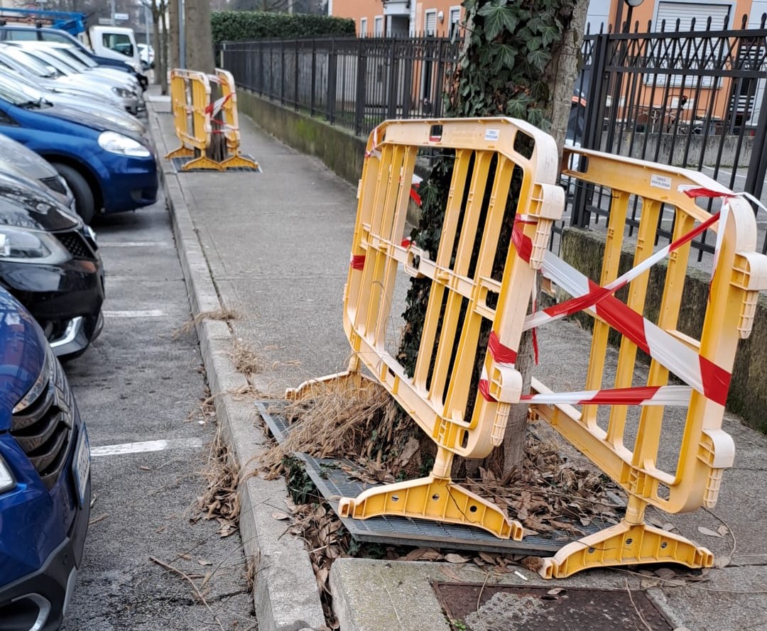 Immagine per Cura del verde da migliorare e strade allagate a Ronchi, Comune fa autocritica