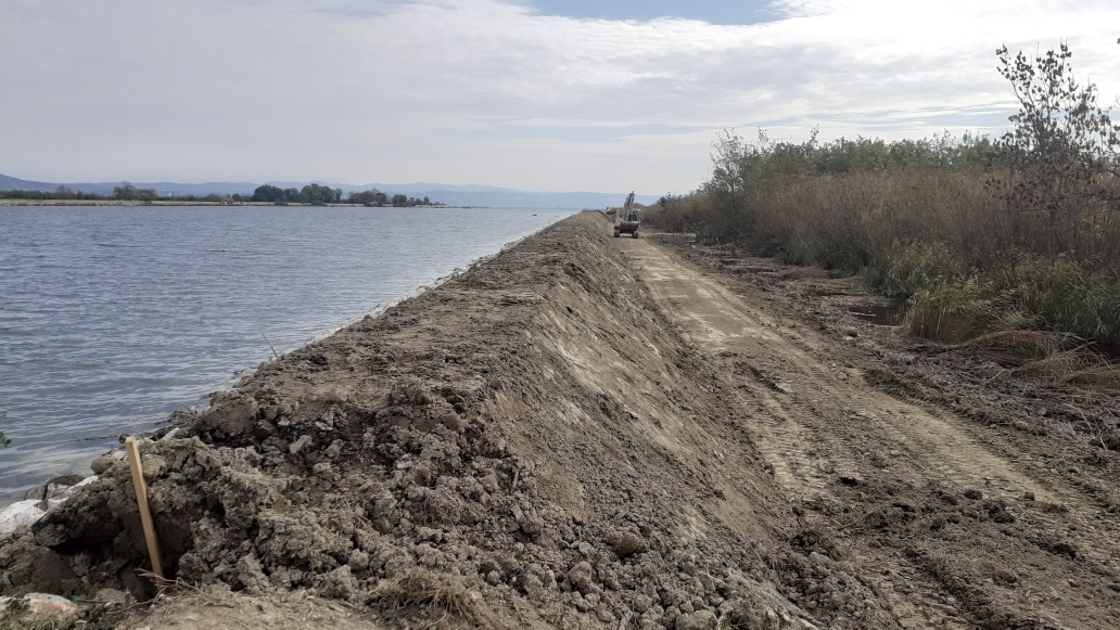 Argini più sicuri all'Isola della Cona, arrivati primi uccelli migratori