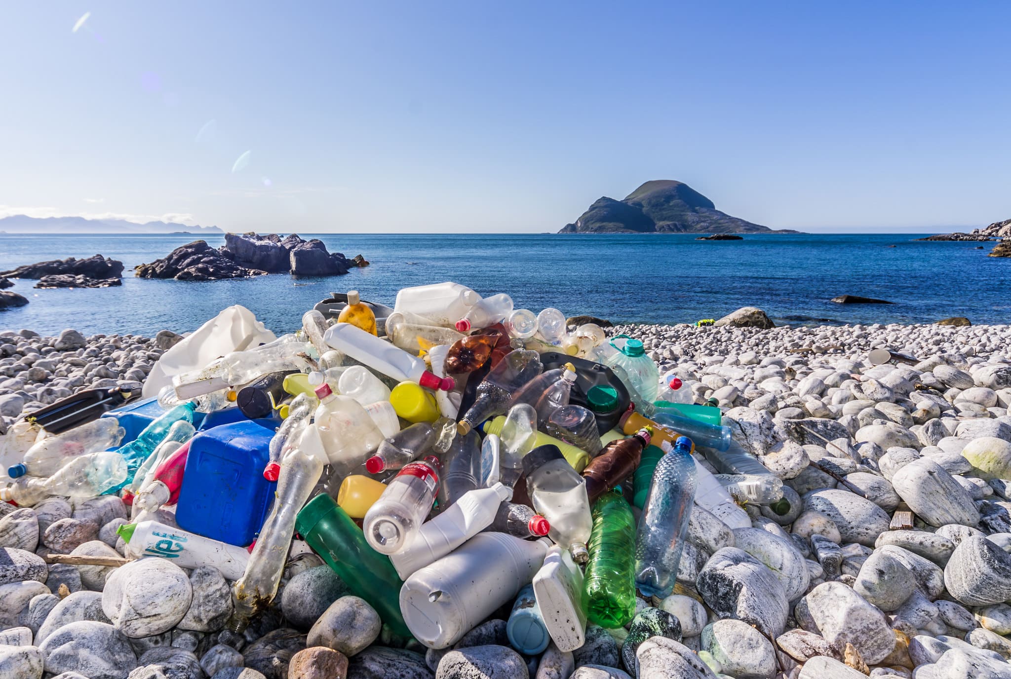 Immagine per Lotta alla plastica in Fvg, contributi fino a mille euro ai locali che aderiscono