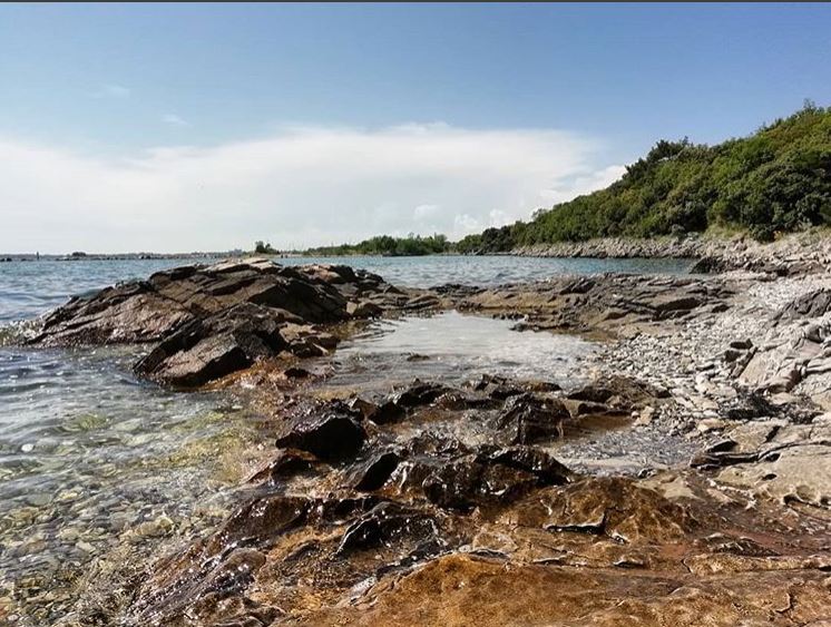 Immagine per Ripulire le spiagge e difendere il Carso, mattinata al Villaggio del Pescatore