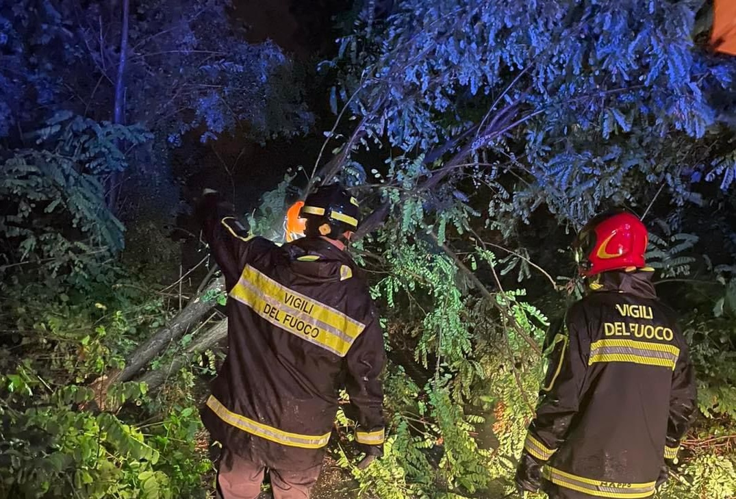 Immagine per Raffiche di vento e alberi caduti in strada, la conta dei danni da Gradisca a Staranzano