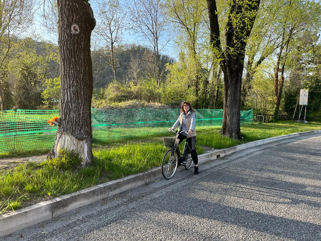 «Alberi abbattuti per la ciclabile», Zanella critica sul progetto del Gect