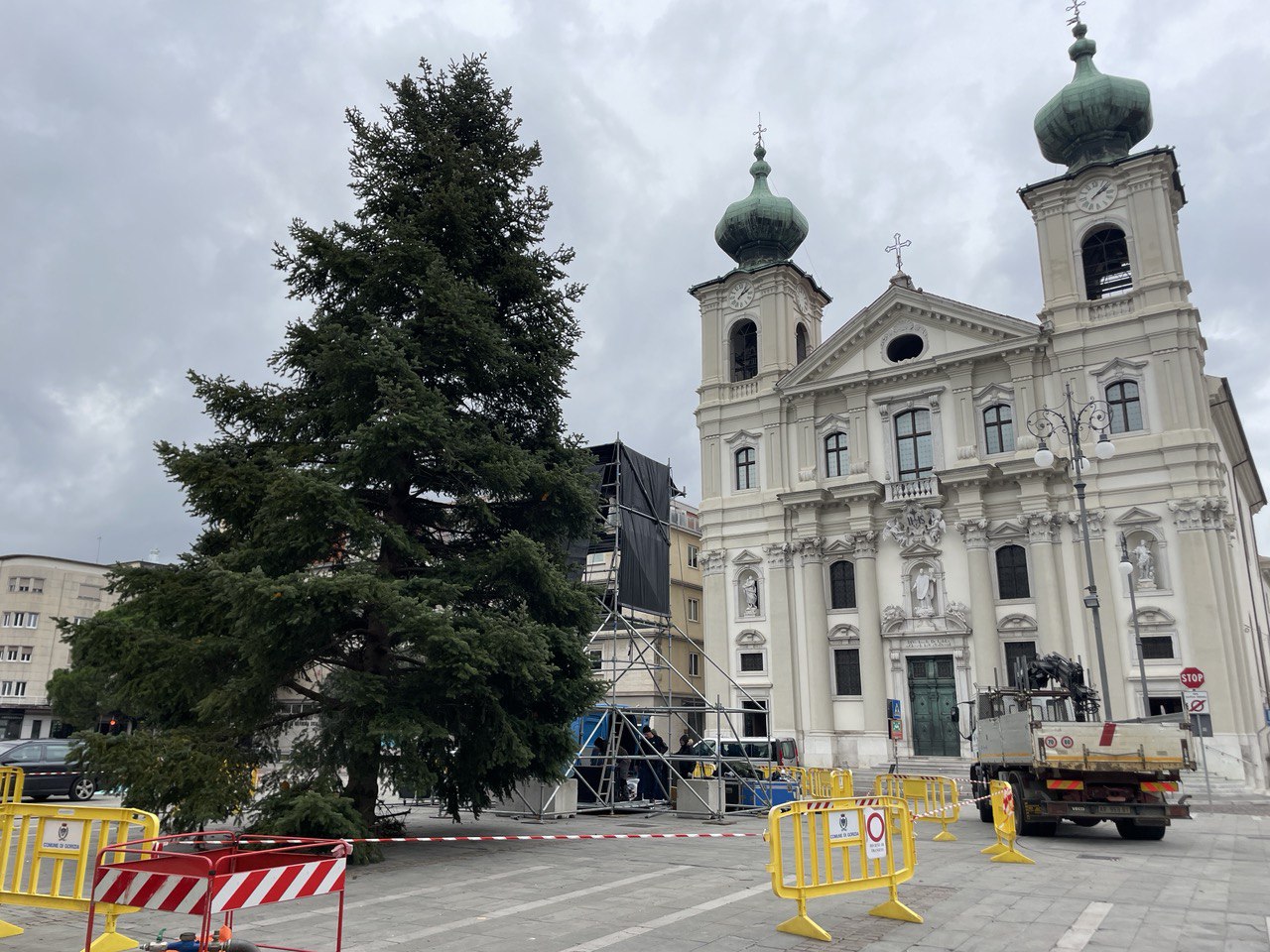 Ecco l'albero di Natale di Gorizia, abete di 16 metri donato dalla Guardia di finanza