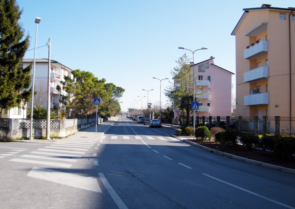 Immagine per Nuovo centro intermodale a Cervignano, «zona già sacrificata»