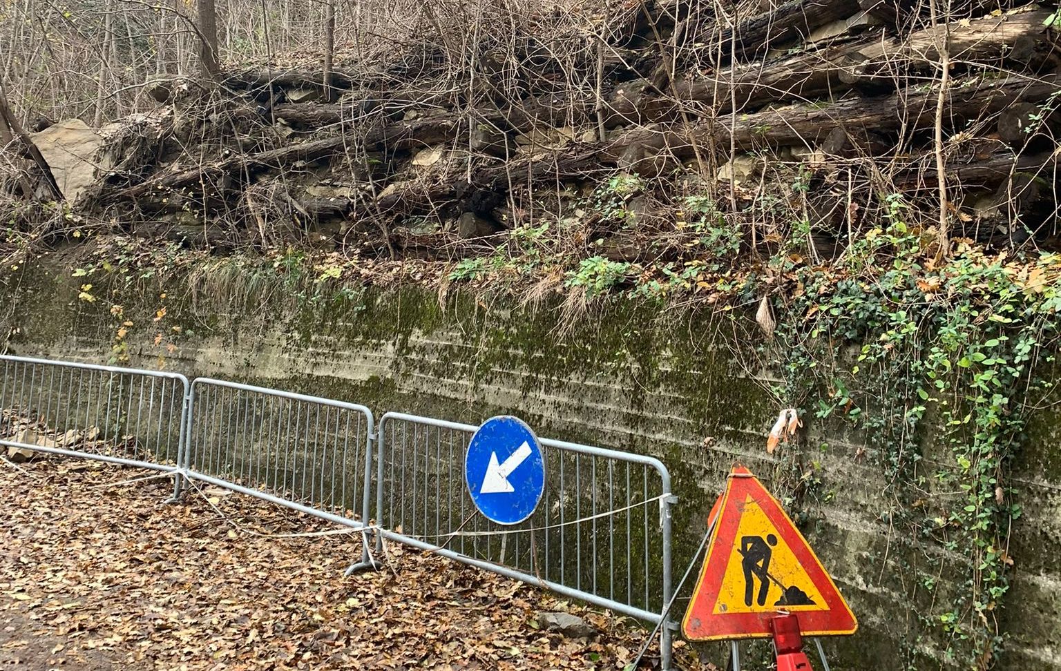 Immagine per Gorizia, chiusa la strada di Costabona: residenti invitano il sindaco