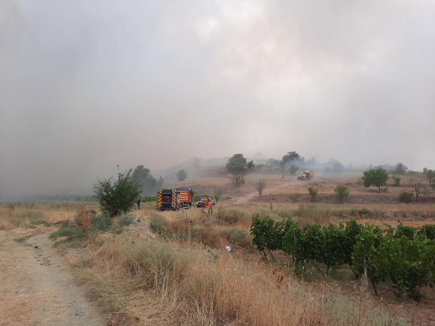 Immagine per Incendio sul Carso sloveno, 200 vigili e 5 elicotteri per spegnere il rogo