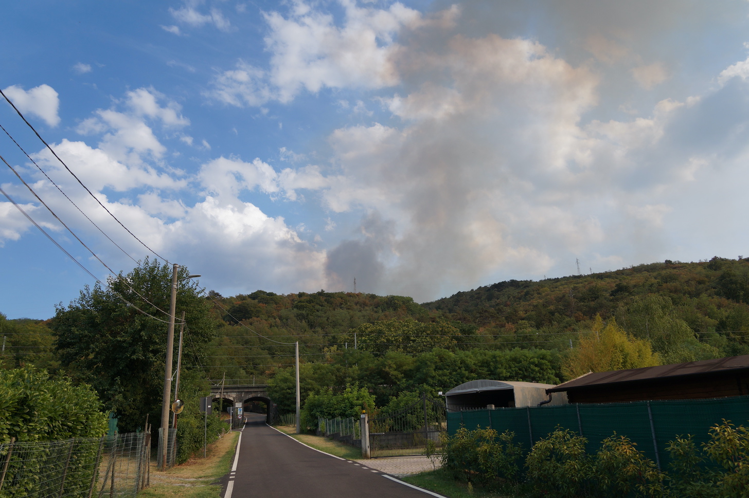 Carso ancora in fiamme, il Fai lancia la corsa per difenderlo