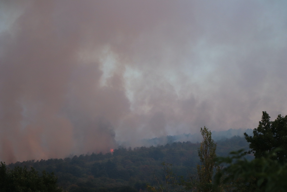 Immagine per Gli incendi sul Carso due anni dopo, fuoco e clima spiegati a San Michele
