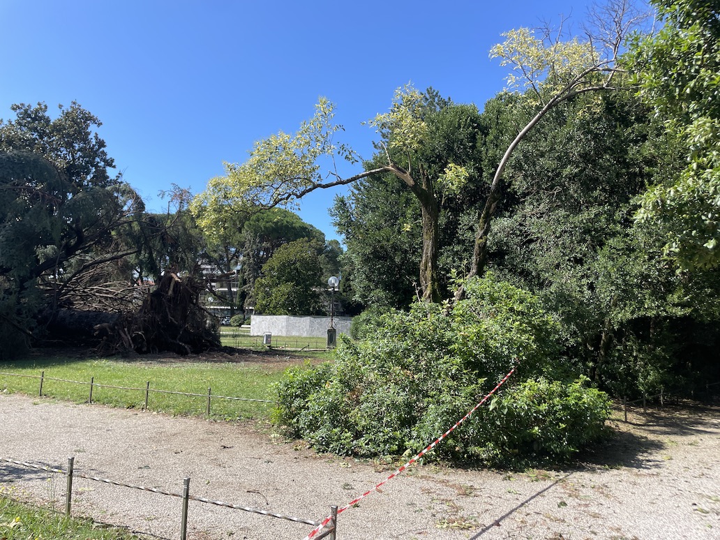 Immagine per Gorizia, Legambiente: «Ora piano su cambiamento climatico»