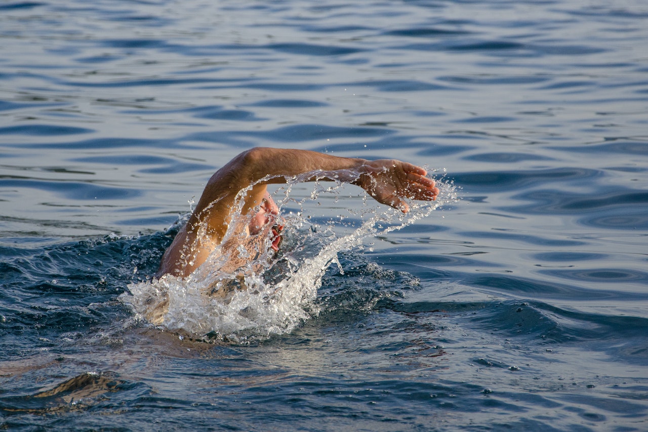 Immagine per A nuoto nel Golfo di Trieste, la sfida per 90 atleti parte dai Caregoni