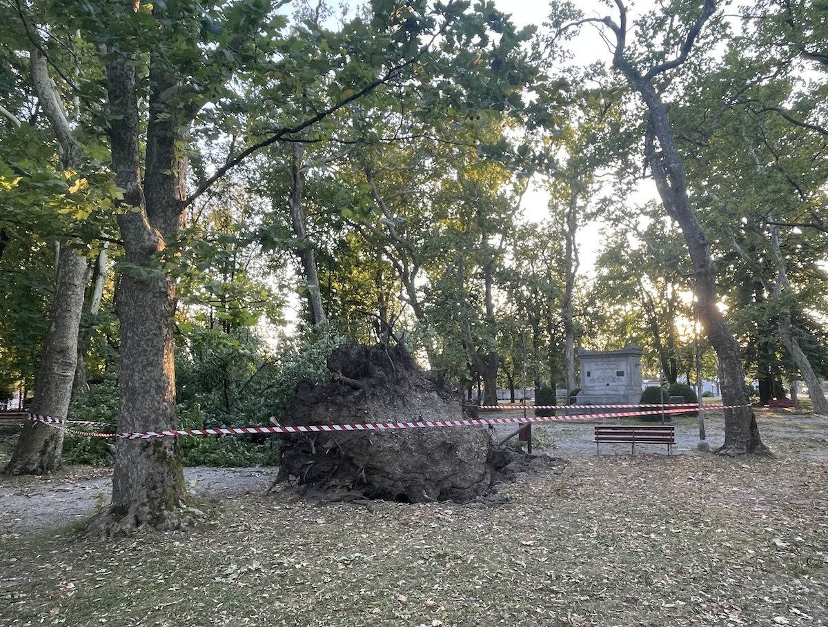 Immagine per Alberi e rami travolti dal vento a Gradisca, chiuso il Parco della Rotonda