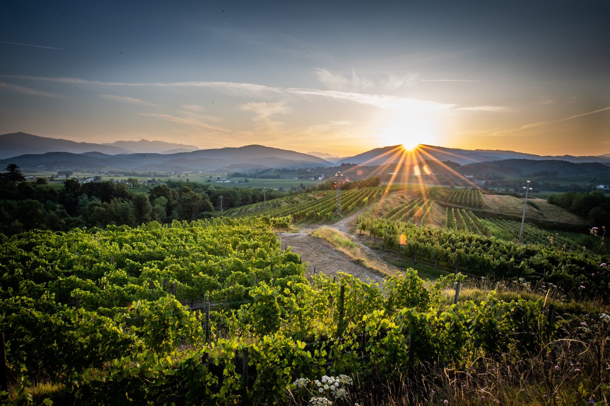 Immagine per Più internet e aule studio, nasce la rete dei giovani amministratori del Patto per il Collio