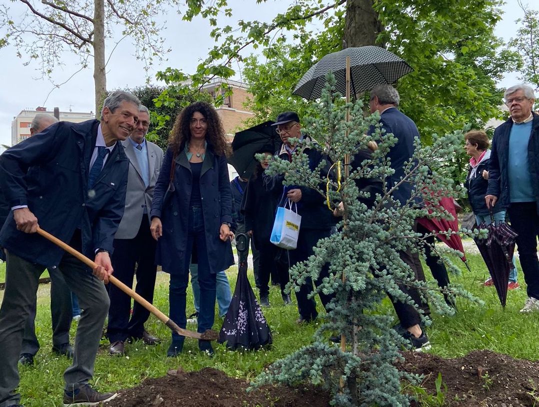 L'albero della pace piantato a Gorizia con le scuole, «basta guerre in Europa»