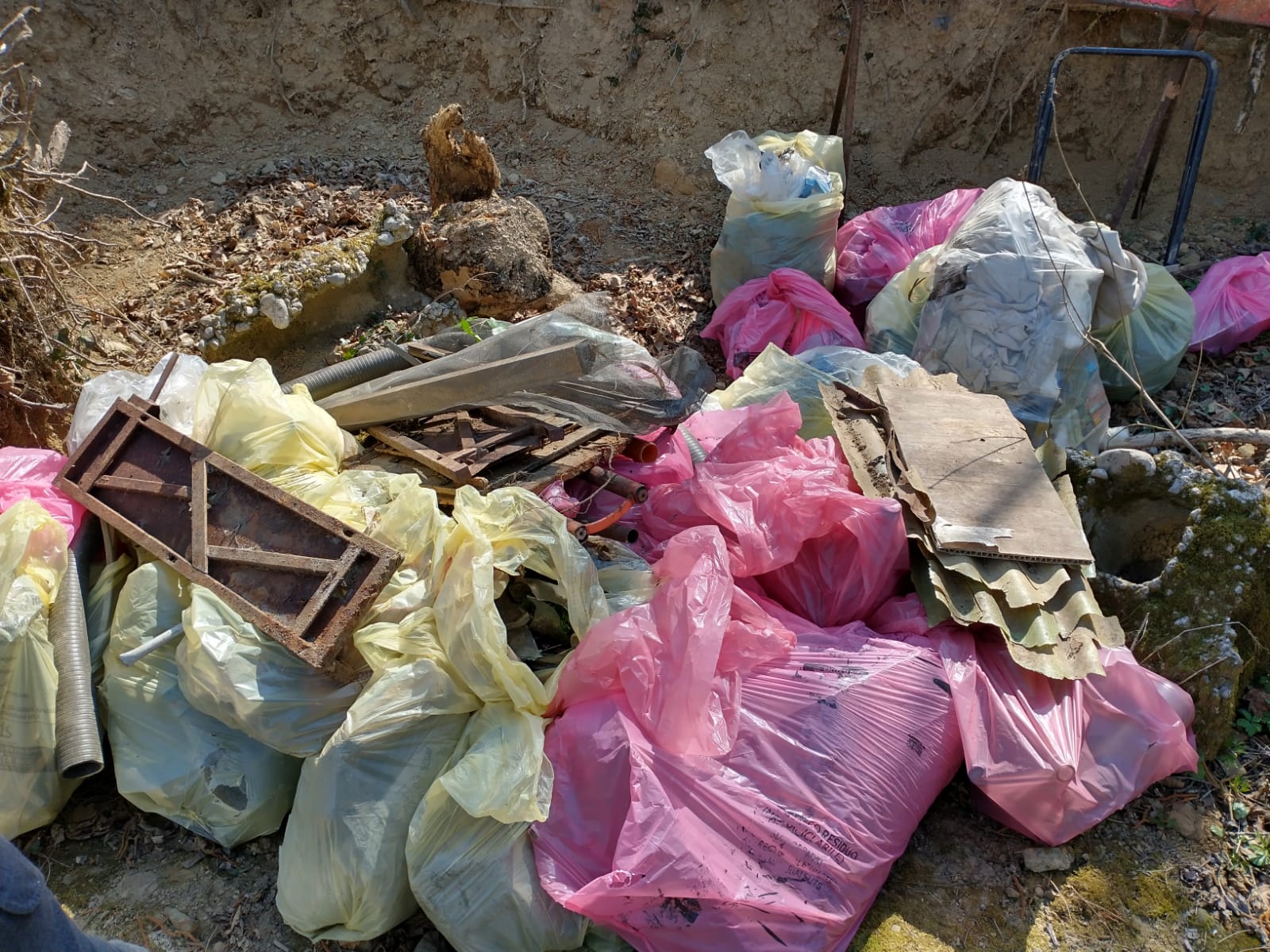 Immagine per La Giornata ecologica invita cittadini e bambini, mattinata a San Floriano