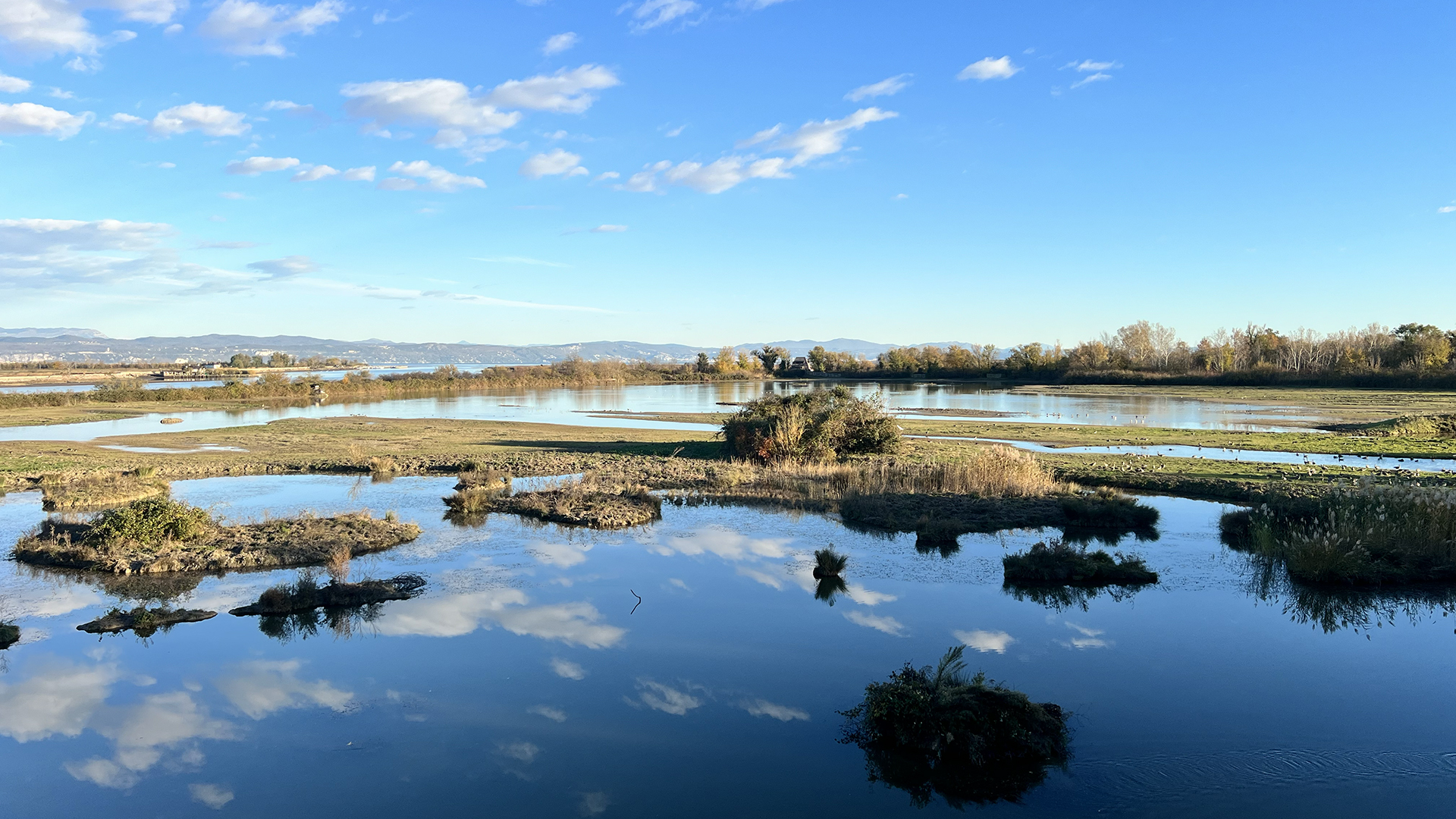 Immagine per L'Eurobirdwatch alle foci dell'Isonzo, appassionati alla scoperta di uccelli migratori