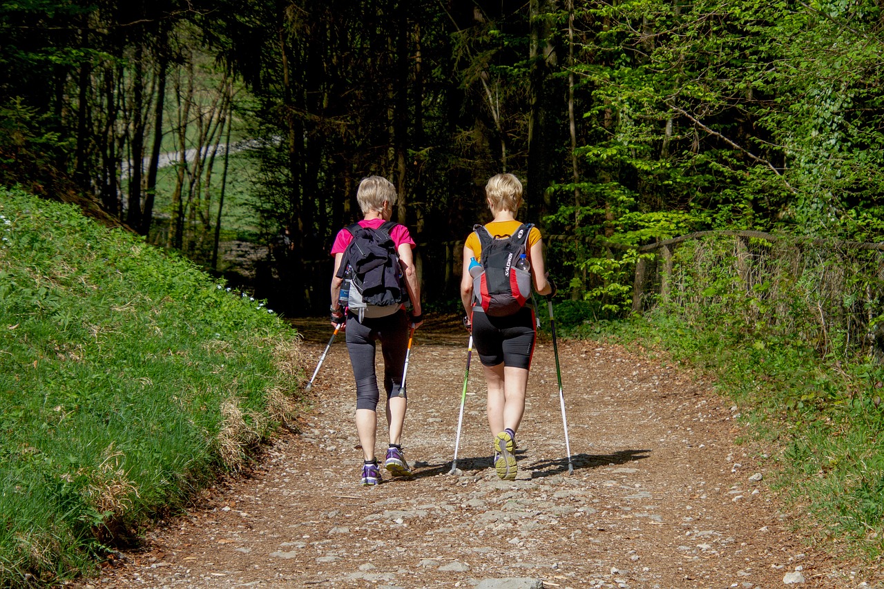 Immagine per Escursioni e natura con la Settimana della mobilità a Duino Aurisina