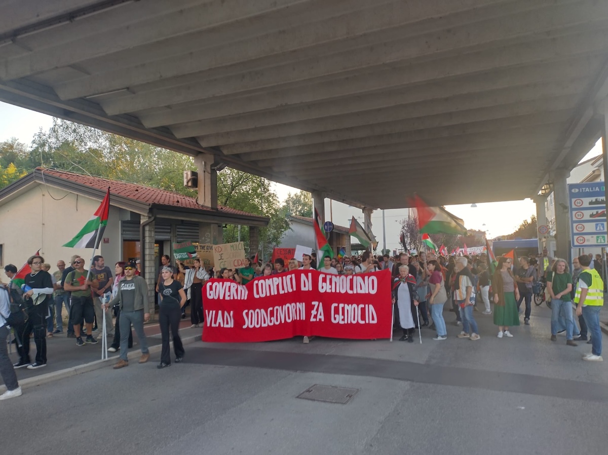 Immagine per Centinaia di persone sfilano per la Palestina, il corteo passa il confine di Gorizia