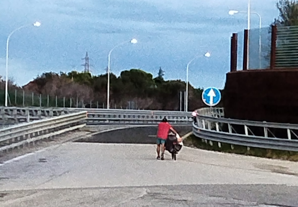 Immagine per Entra con la bici in autostrada dopo Monfalcone, scoperto e fatto uscire a Duino