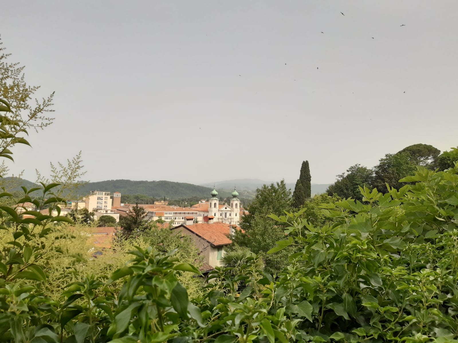 Immagine per Gorizia che riparte, tra genuine bellezze e ansia da prestazione